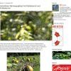 Herbstlicher Marmorguglhupf mit Kürbisöl und Kürbiskernen